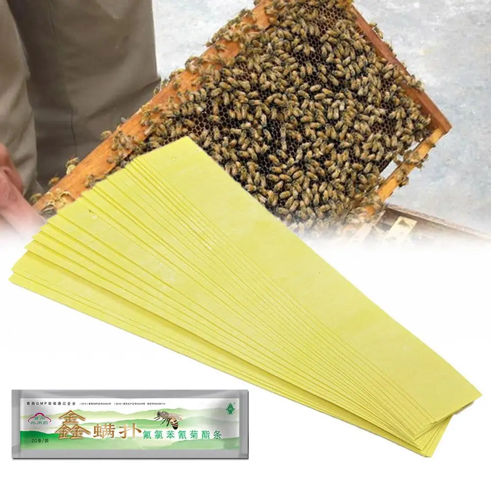 

Professional Acaricide Against The Bee Mite Strip Beekeeping Medicine Bee Varroa Mite Killer & Control Beekeeping Farm Medicines