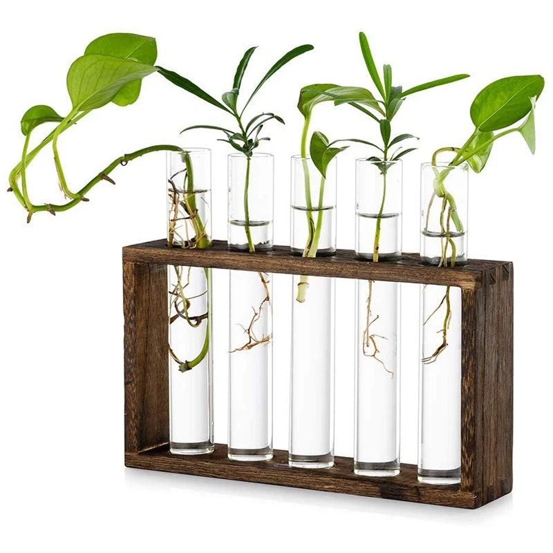 

Tabletop Hanging Planter Test Tube Flower Bud Vase Glass Terrariumin Wooden Stand with 5 Test Tube for Hydroponic Plants