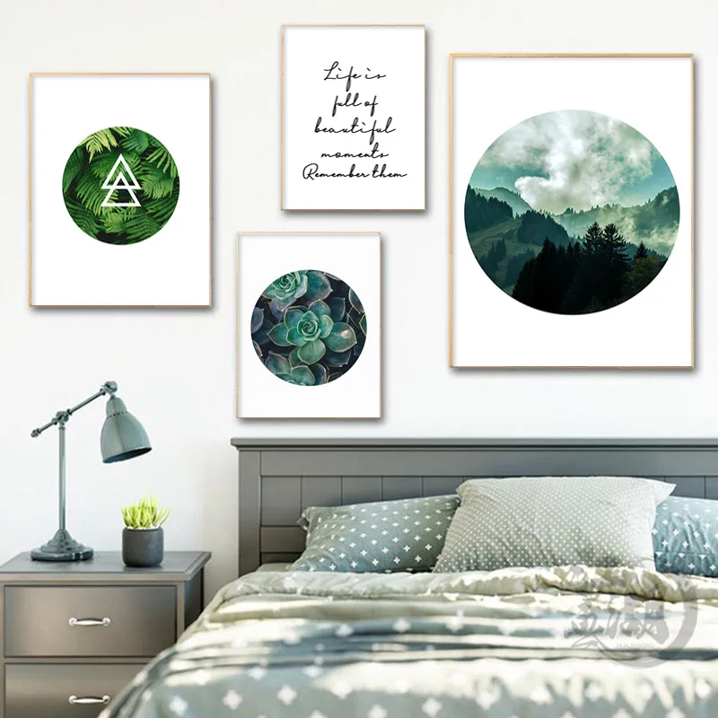 Зеленое растение суккулентное изображение природа пейзажи скандинавский пейзаж