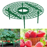 strawberry supports strawberry plant support strawberry growing racks strawberry growing frame