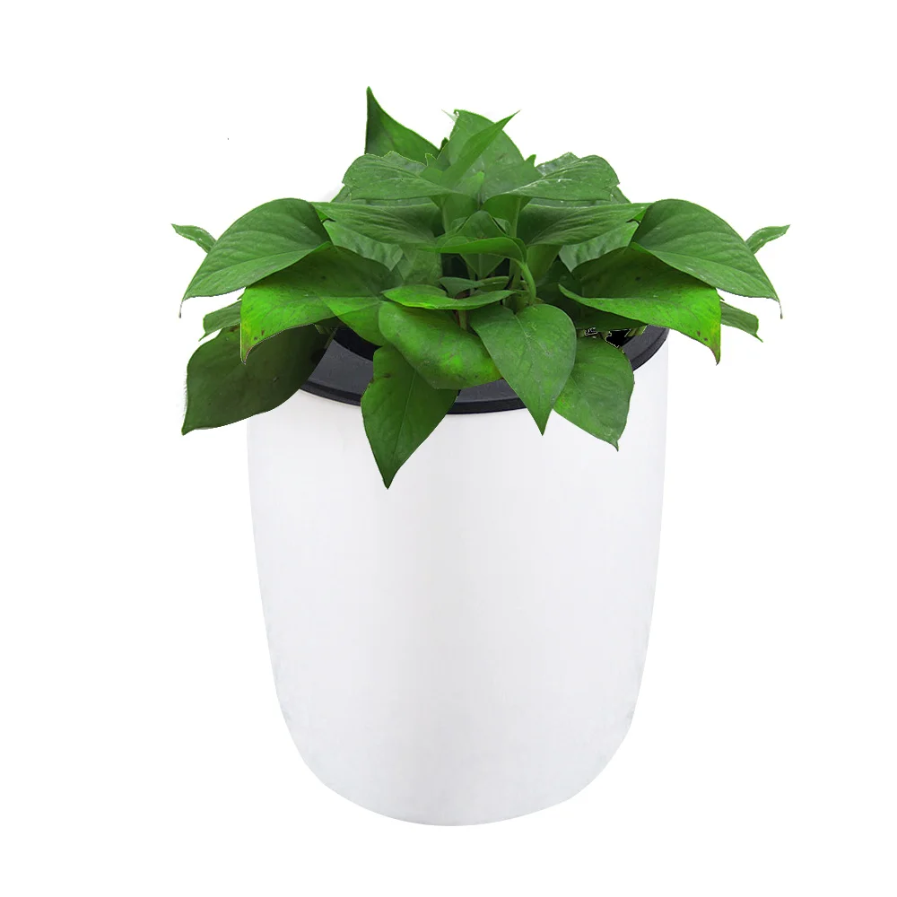 Автоматический самополивающийся настенный держатель SOLEDI для растений