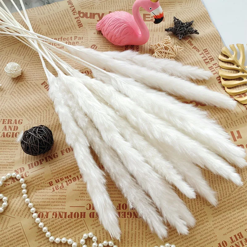 

15PCS Dried Natural Flowers White Reed Pampas Grass Decor Phragmites Flower Bouquet Home Living Room Wedding Party Decoration