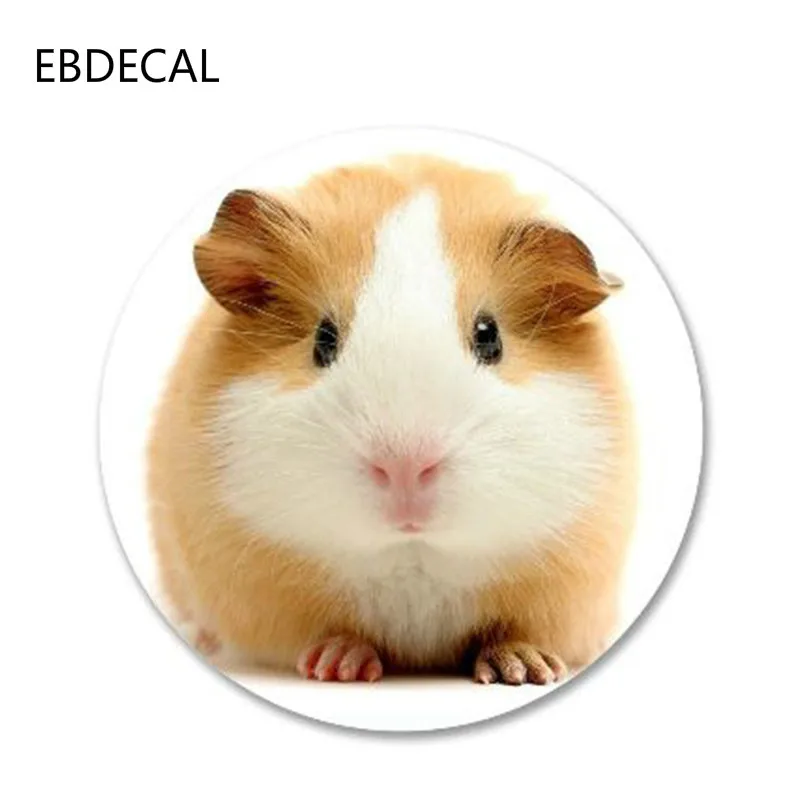 Наклейки Симпатичные морская свинка для Авто/бампер/окно/наклейка на стену