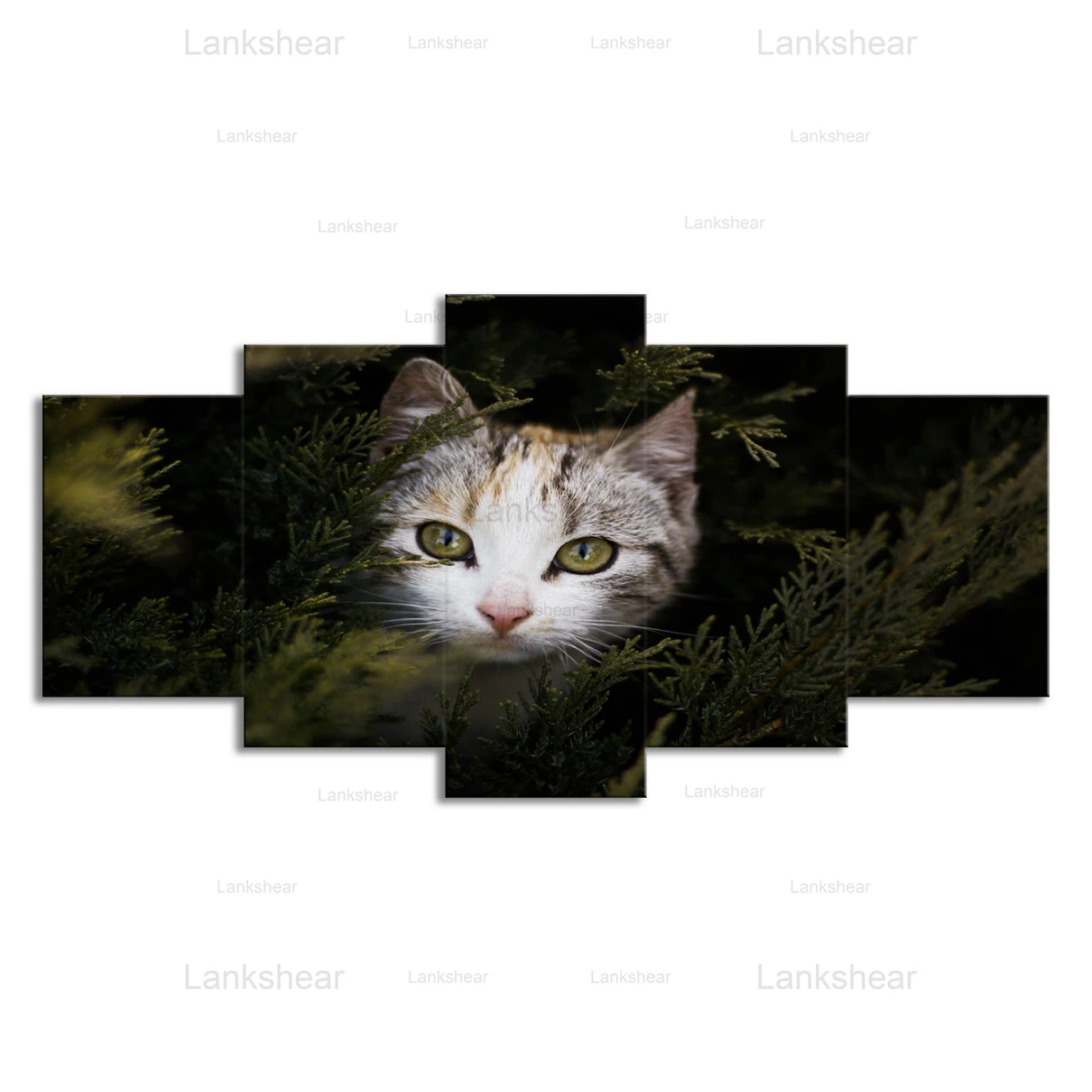5 панелей милый кот Животные сцена холст для живописи Wall Art украшение дома