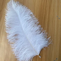 hot sale 20pcslot beautiful ostrich feather 40 45cm16 18inch home christmas diy accessories feathers for crafts