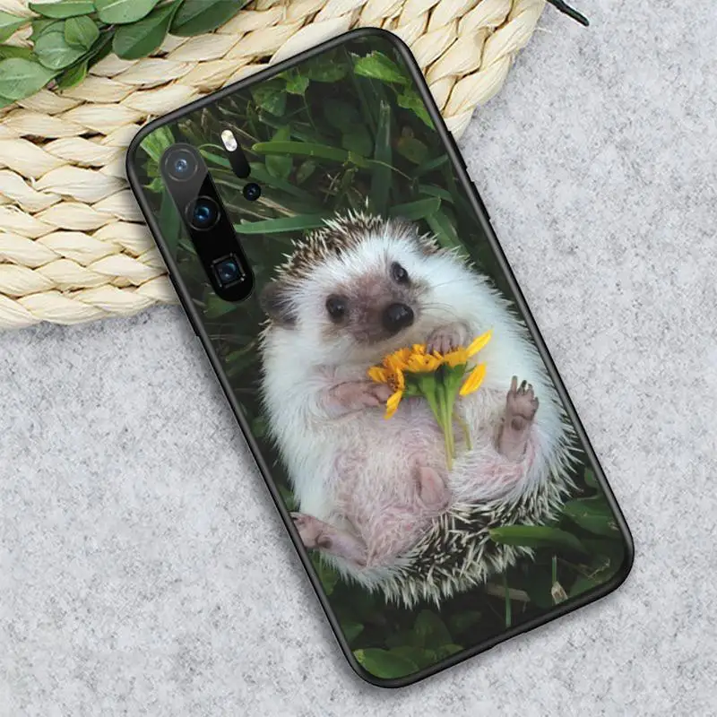 

Hedgehog little cute animal Phone Case For Huawei honor Mate P 10 20 30 40 i 9 8 pro x Lite smart 2019 nova 5t