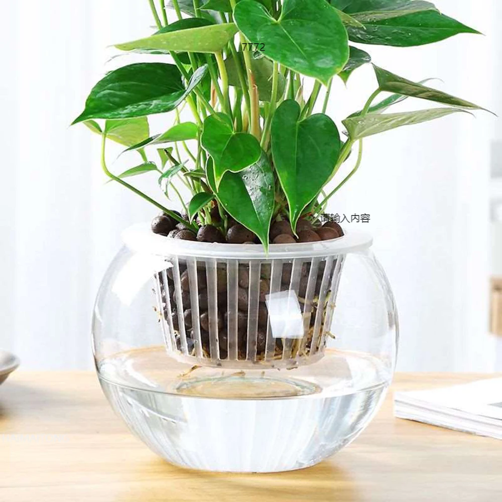 

50Pcs Hydroponic colonization Mesh Pot Net Cup Basket Hydroponic Aeroponic Planting Grow Clone Nursery Plant Soilless