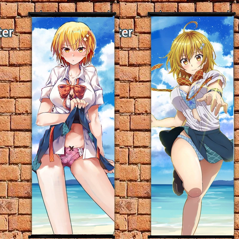 Аниме постер Dokyuu Hentai super HxEros Shirayuki Maihime прокрутка стены 105x40 см художественные