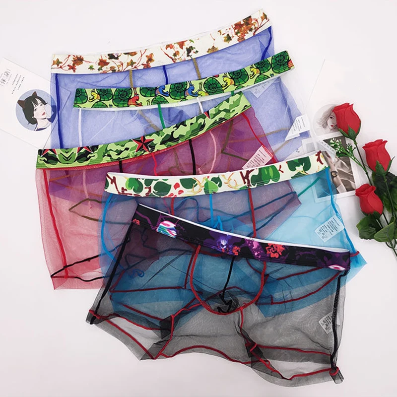 

Mens Transparent Underwear Mesh Male Panties Lace Man Gay Soft Net Yarn Sexy Boxer Underpants Summer Thin Breathable