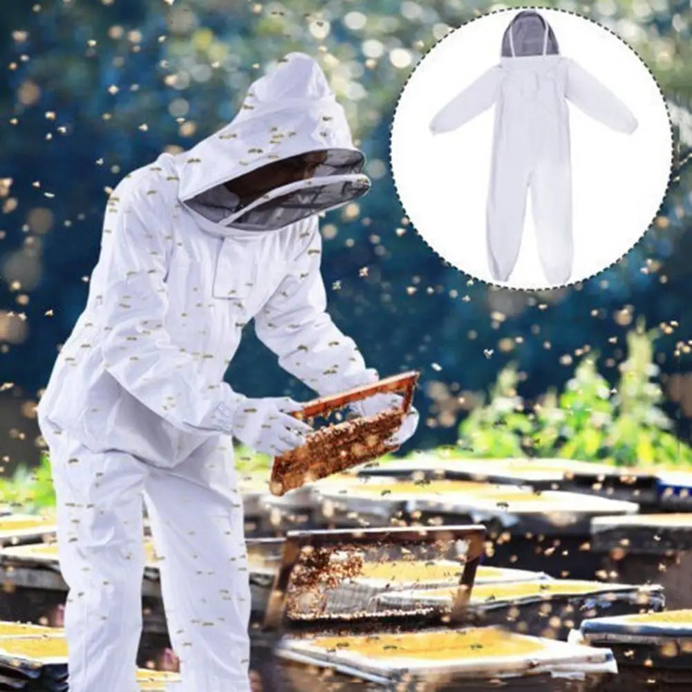 Костюм для пчеловодства Фата защиты от начинающих оборудование - Цена: 