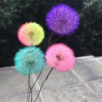 3 4cm4pcsnatural preserved real dandelion craft with wire branchflower art diy wedding party home decoration accessories