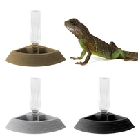 automatic reptile feeder lizard food and water bowl turtles corner dish with water bottle for insects lizard tortoises feeding