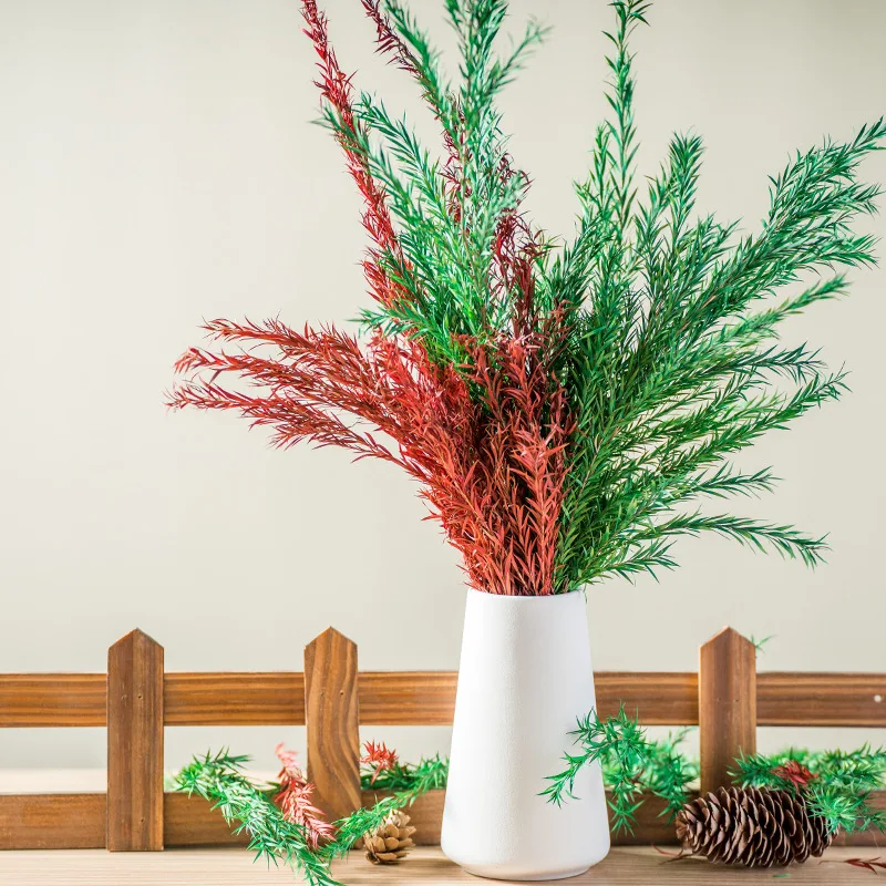 

100g Dried Preserved FlowerHome Decor Wedding Decoration Indie Room Plant Melaleuca Bracteata Bouqut Party Craft Home Essentials