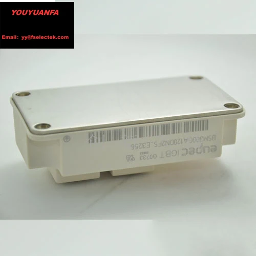 

BSM300GA170DN2S_E3256