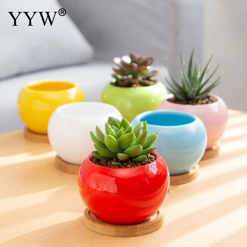 

6pcs/Lot Six-Color Small Ball Ceramic Fleshy Flower Pot Gardening Creative Solid Color Personality Desktop Thumb Small Flowerpot