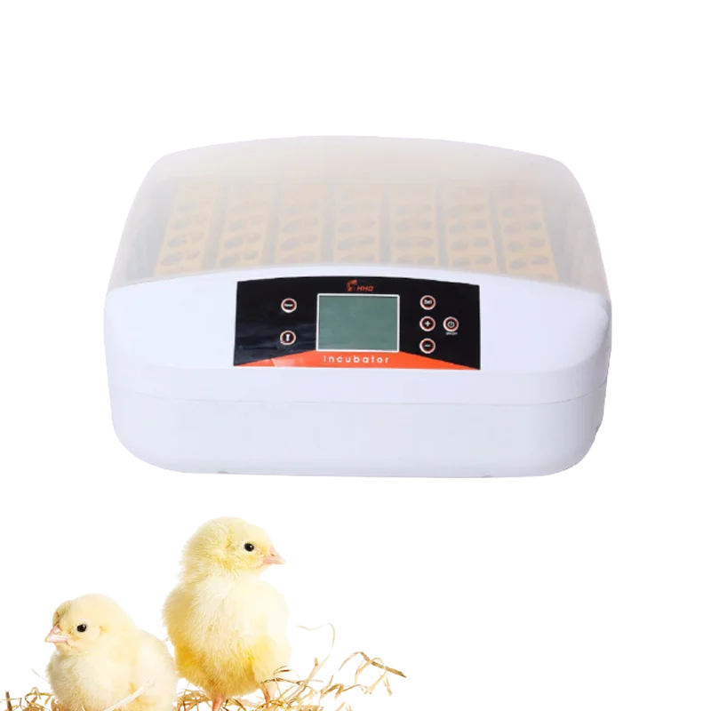 

HHD 56 Egg Incubator Automatic Egg Incubator With Free Shipping Temperature Control Turner Machine For Brooder Hatchery Quails