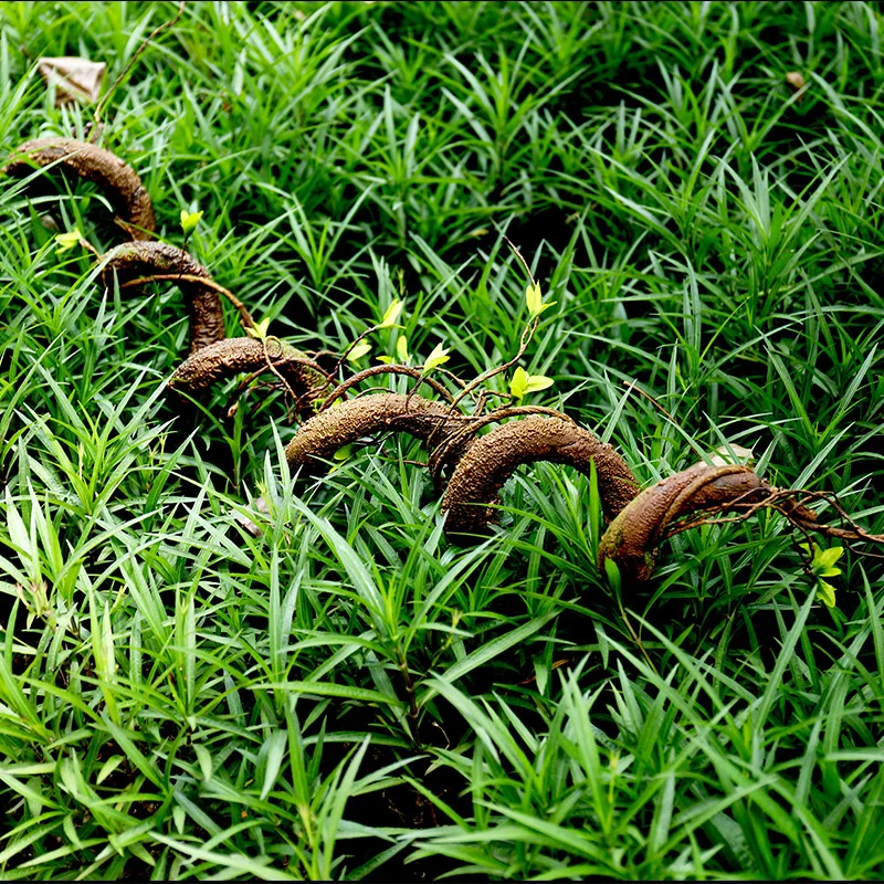 160 см большое искусственное дерево ветки зеленое Liana ротанг искусственные для