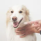 Зубная щетка для животных Чистящая Щетка для зубов