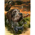 Алмазная 5D Вышивка Орл, картина из страз, вышивка крестиком, искусственная мозаика, рукоделие, вышивка фазаном