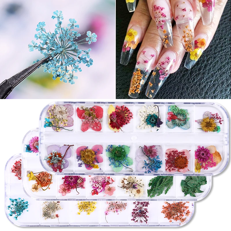 1 коробка свежих сушеных цветов розовый желтый фиолетовый смешанные цвета