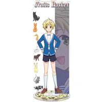 FRUITS BASKET Toy Height 21cm Anime Action Figure Toy Acrylic Decorative Ornaments Creative Gift