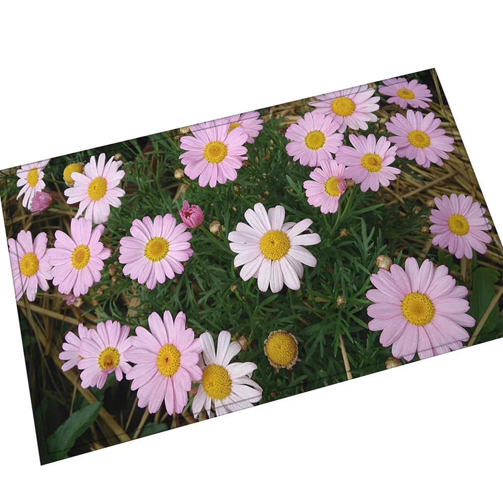 Zeegle Floor Mat Doormat Non-slip Bathroom Kitchen Carpet Indoor Rug 3D Printed Hallway Washable Outdoor | Дом и сад