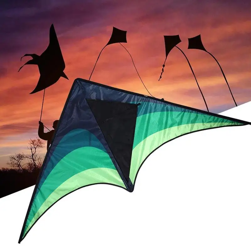 

High Quality Large Delta Kites With Handle Line Outdoor For Kids Kites Nylon Ripstop Albatross Outdoor Flying Kites