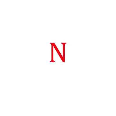 N A-Z из нержавеющей стали 26 Английский браслет с буквами золотой, серебряный тон Регулируемый именной браслет из цепи Pulseras Mujer ювелирные изделия - Окраска металла: N