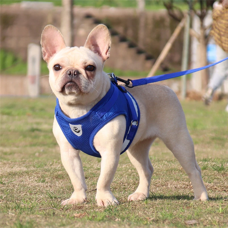 Pet Dog Harness Leash Adjustable Reflective Vest Walking Lead Puppy accessories Polyester Mesh French Bulldog Small Dog Harness