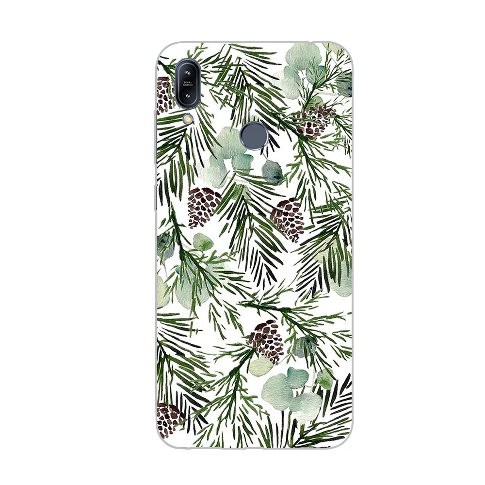 Ciciber чехлы для телефонов ASUS Zenfone Max Pro (M1) (M2) чехол задняя крышка ZB601KL ZB602KL ZB631KL ZB633KL