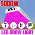 Светодиодная лампа для выращивания растений, квантовая лампа для растений, 4000 Вт, 5000 Вт, полный спектр, фитосветильник 220 В светодиодный ная гидропонная лампа для посадки, 2000 Вт, 3000 Вт