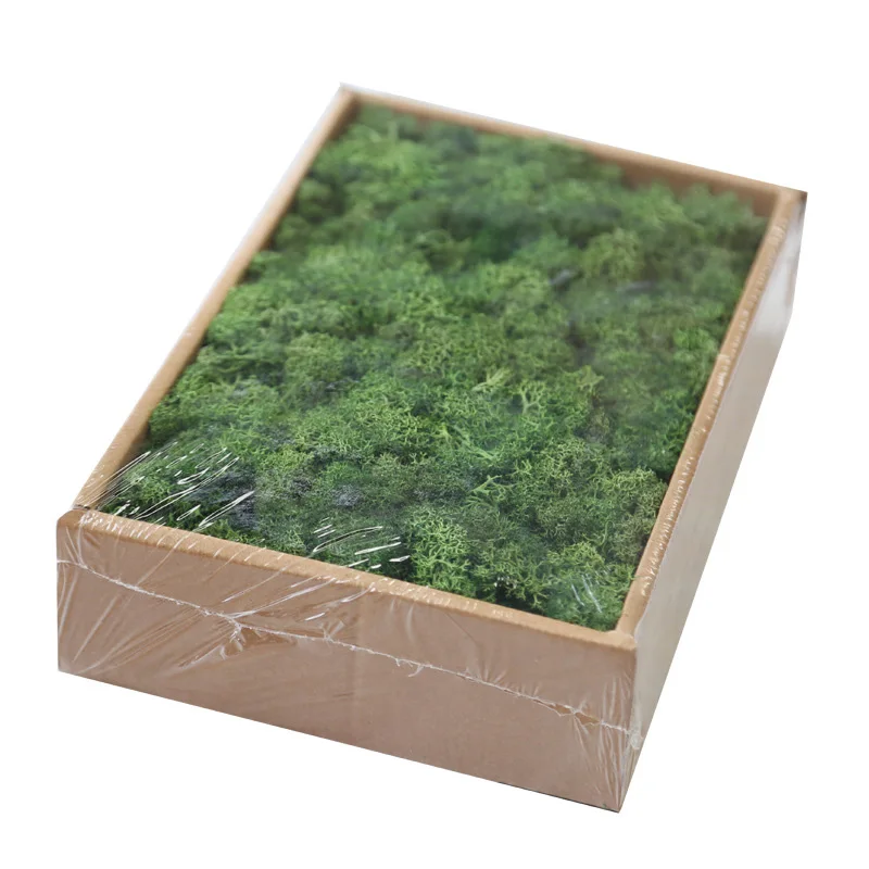 Deep Green Искусственное растение вечная жизнь 200 г мох сад украшение дома стены DIY цветок материал Мини Сад Микро Ландшафтные аксессуары - Цвет: Deep Green