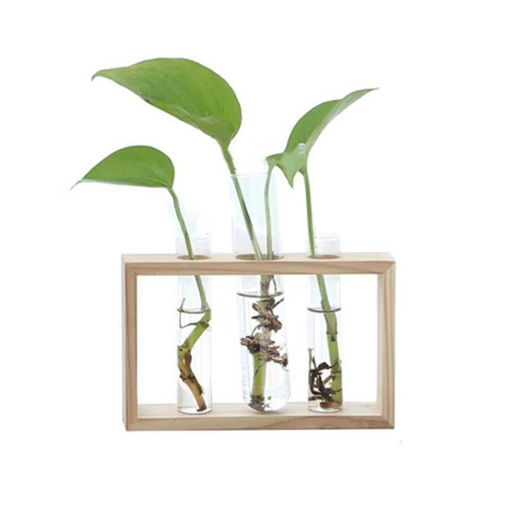 Прозрачная стеклянная тестовая ваза Террариум деревянная подставка Цветочные