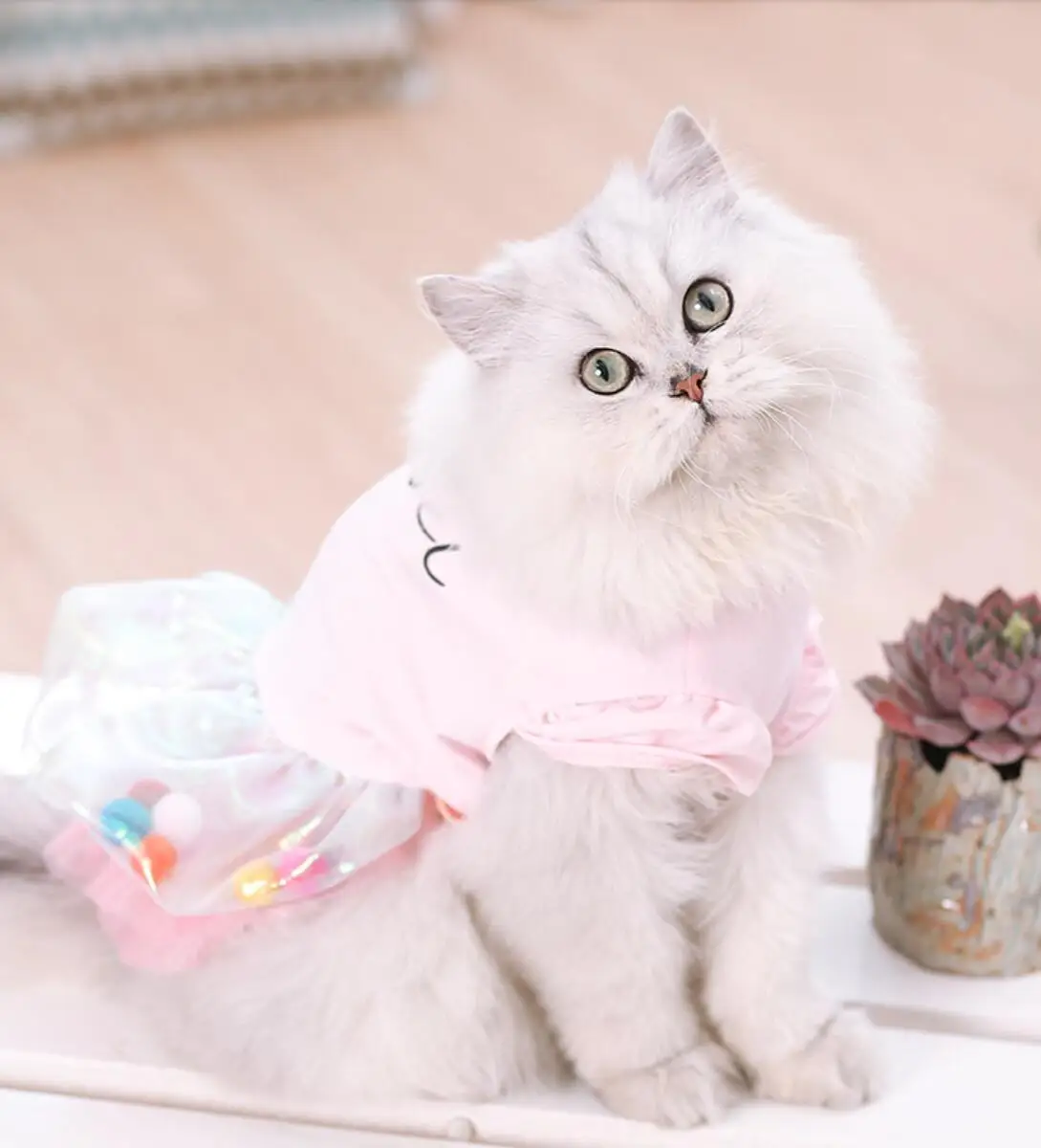

Pet Clothes Dot Dog Dress For Dogs Skirt Summer Princess Dog Wedding Dresses