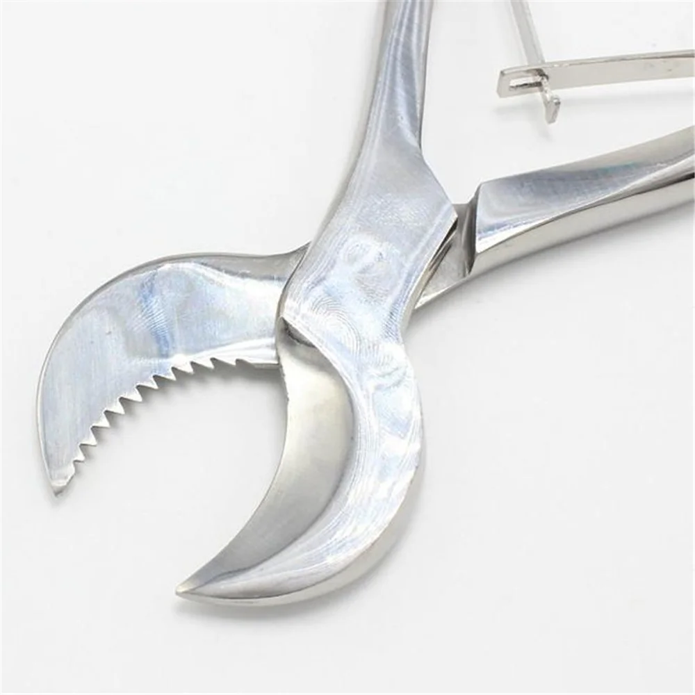 Штукатурные ножницы, режущие плоскогубцы, ножницы для стоматологической лаборатории, большие 20 см маленькие 16 см лабораторные принадлежно... от AliExpress WW
