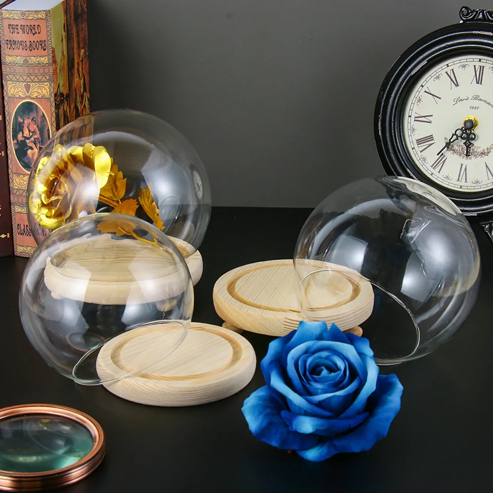 Прозрачная бутылка-Колокол для хранения растений | Дом и сад