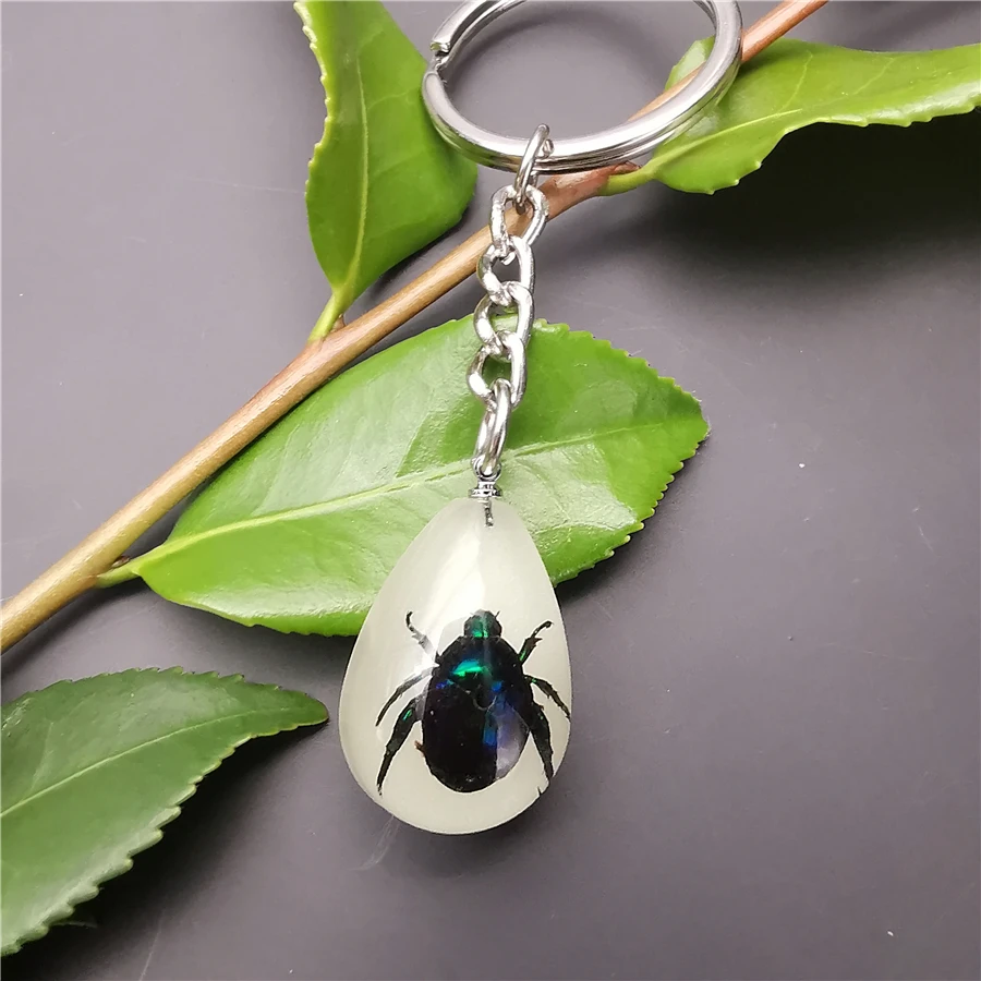 10pcs Scorpion Crab Keychain Glow in the Dark Real Insect Keychain Beetle Keychains for MenKey Ring Specimens Collecting Trinket - Цвет: 21-1YK