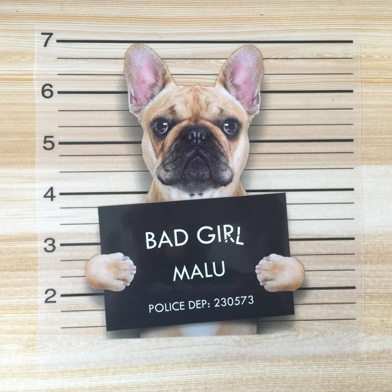На заказ Аппликации для собак на одежду Bad Girl Malu нашивки одежды Новые моющиеся