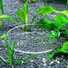 Пластиковая прозрачная акриловая кастрюля для кормления креветок, контейнер для еды, кормушка для посуды, аксессуары, декоративный поднос для аквариума Q0s3