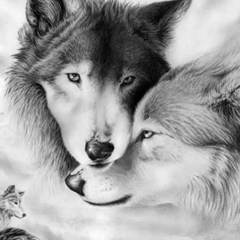 Новинка лидер продаж DIY холст настенное искусство черный и белый волки картина
