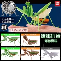 bandai genuine gashapon toys mantis insects simulation model action figure ornaments limited collection