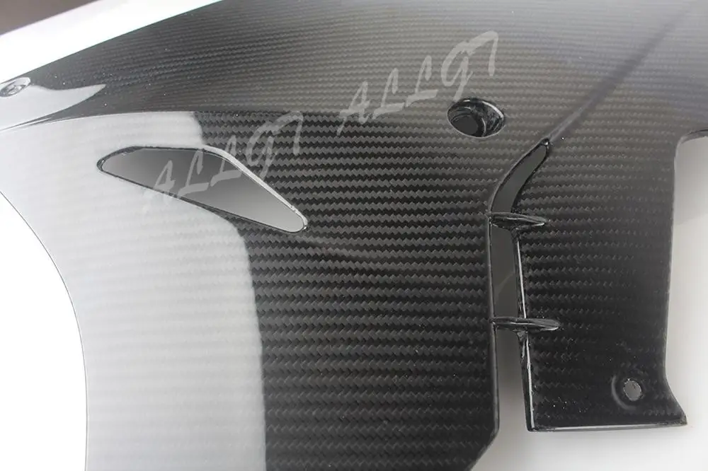 Предварительно Preg кастрюли для нижнего живота из углеродного волокна BMW S1000RR 2017