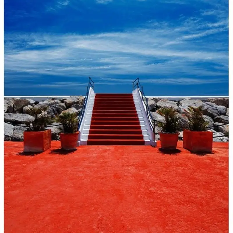

Nitree Фото Студия фотография реквизит красный ковер свадебный портрет Виниловый фон