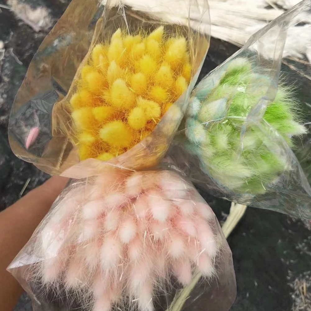30pcs Rabbit Tail Grass Bouquet Eco Friendly Wedding Dried Flower Florist Photo Props Lagurus Ovatus Natural Gift Home Decor