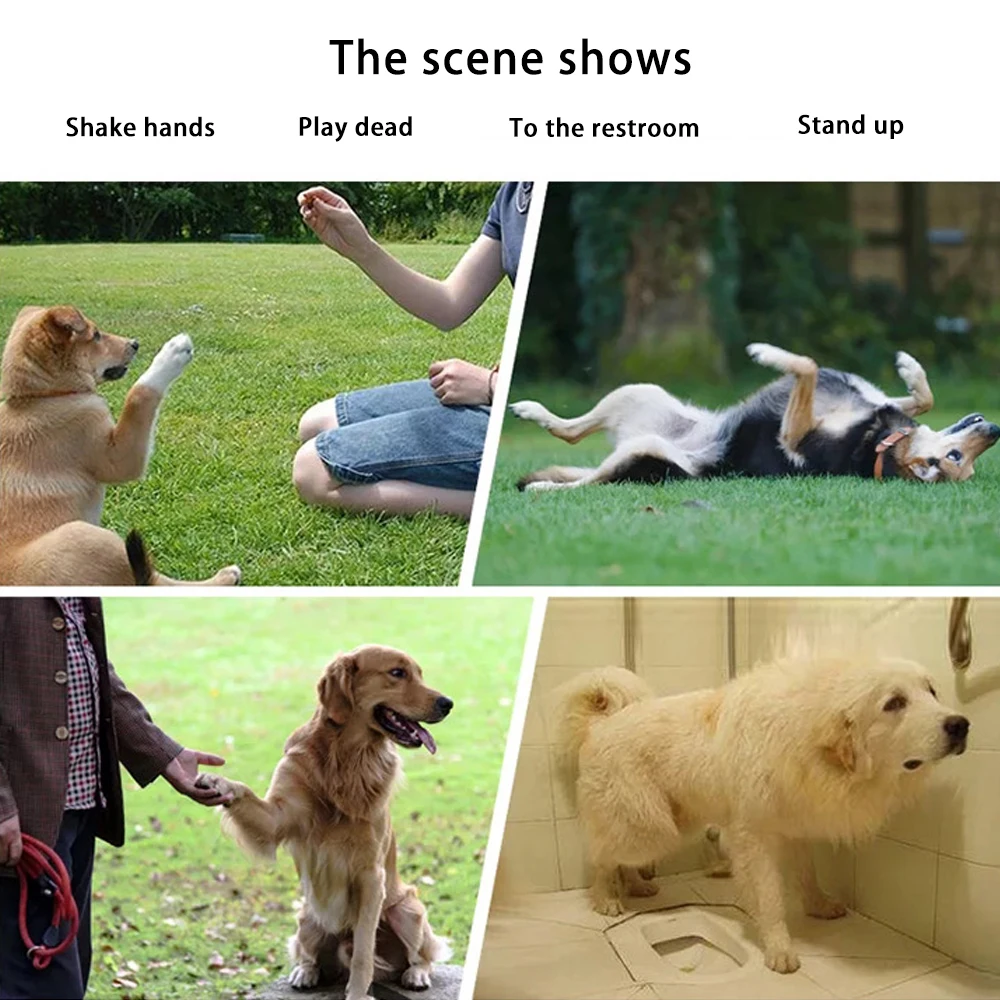 Набор для дрессировки собак свисток домашних питомцев мешок веревка мяч кольцо