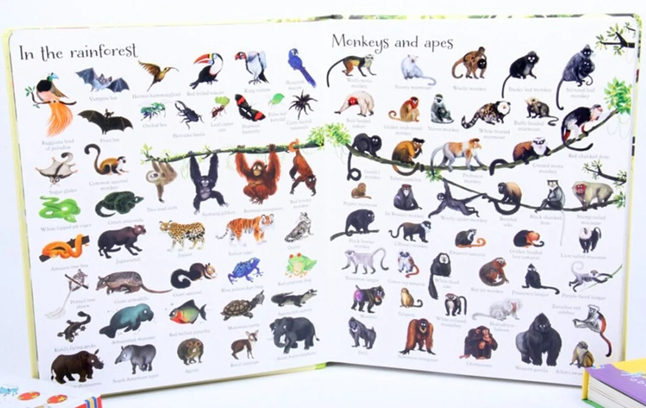 Usborne 1000 животных/под водой английская еда доска для изучения слов книга