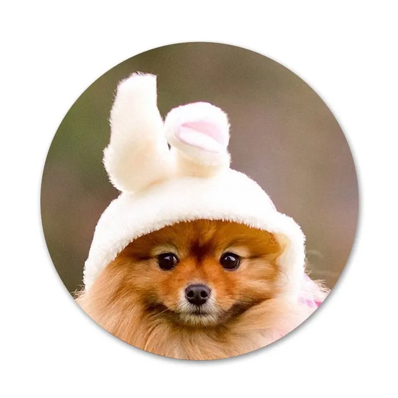 Значки для собак шпильки значки металлические фотографий|Значки| |