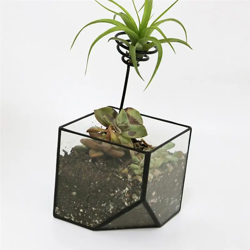 

5pcs Flower Rack Plant Holder Air Pineapple Stand Small Plant Metal Shelf