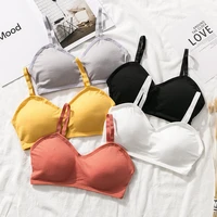the new summer adjustable shoulder strap no steel ring beautiful back threaded chest wrap sling tube top girl sexy underwear