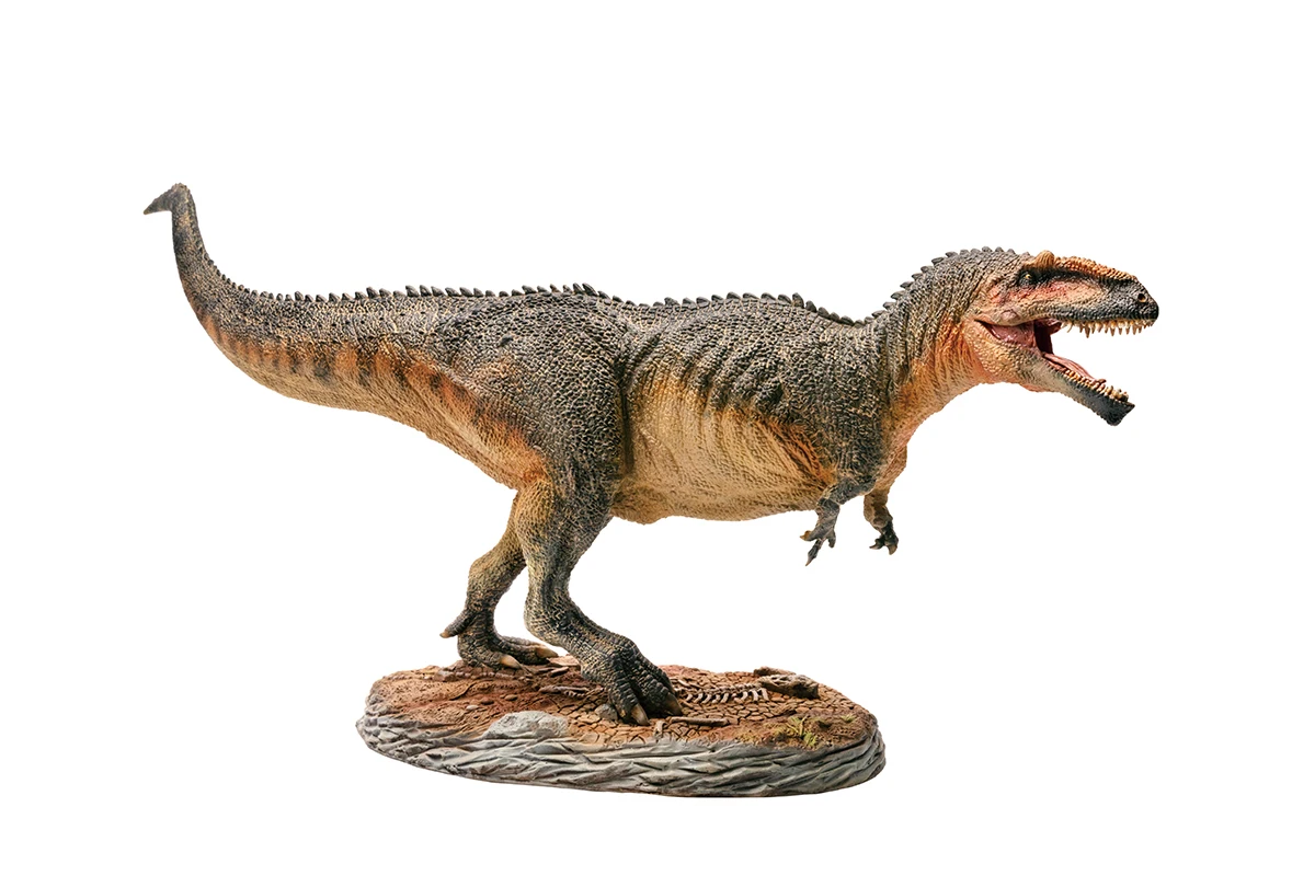 PNSO-Serie de museo de dinosaurios: Lucas el giganosaurus 1:35, modelos de arte cient&iacute;fico-3